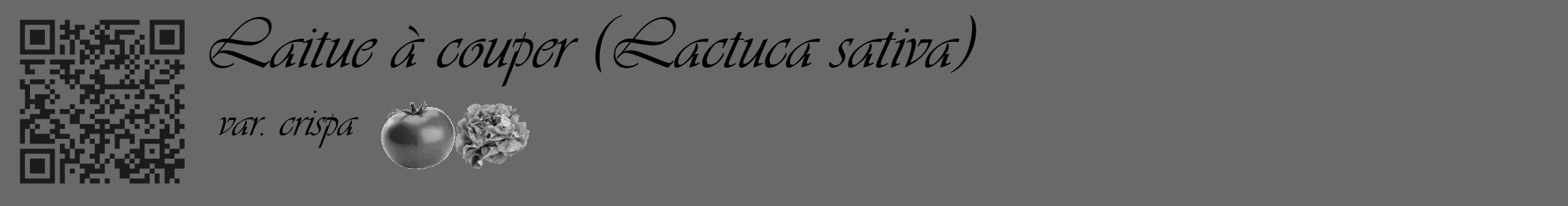 Étiquette de : Lactuca sativa var. crispa - format c - style noire51_basique_basiqueviv avec qrcode et comestibilité simplifiée