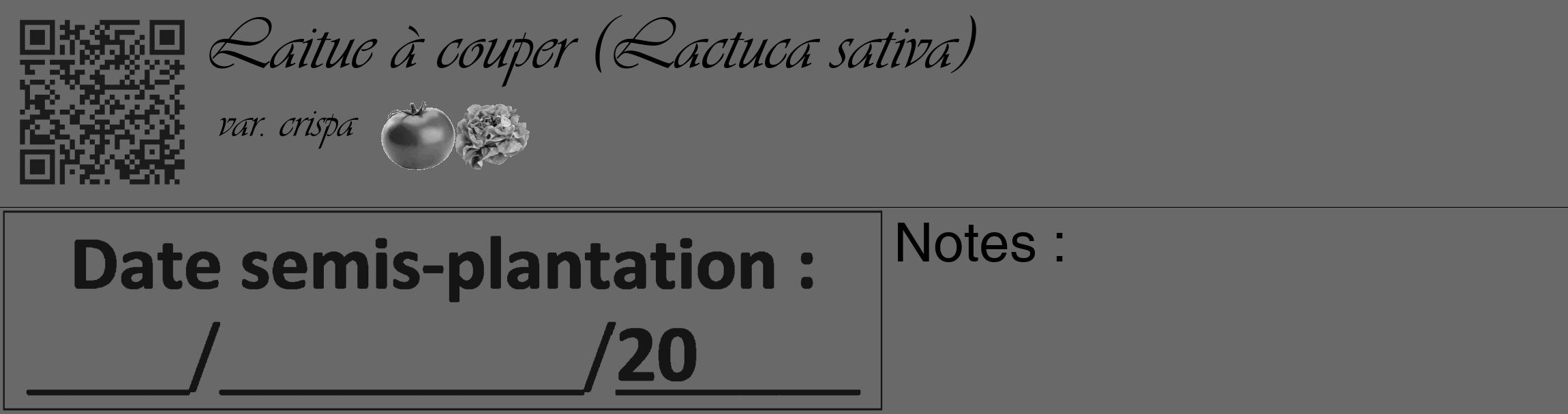 Étiquette de : Lactuca sativa var. crispa - format c - style noire51_basique_basiqueviv avec qrcode et comestibilité simplifiée