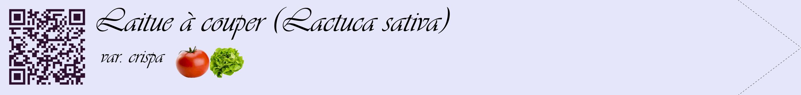 Étiquette de : Lactuca sativa var. crispa - format c - style noire55simple_basique_basiqueviv avec qrcode et comestibilité simplifiée