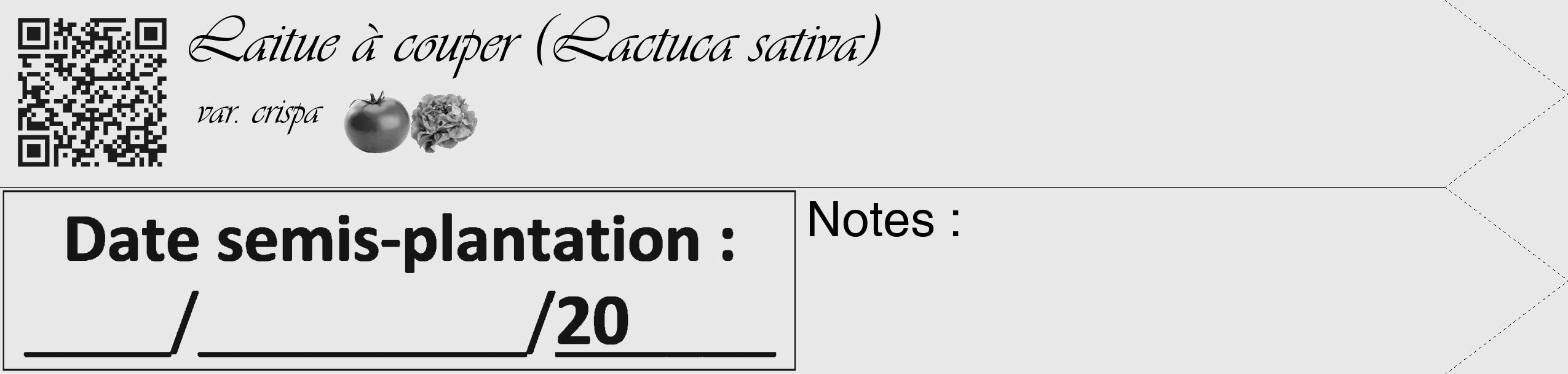 Étiquette de : Lactuca sativa var. crispa - format c - style noire55simple_basique_basiqueviv avec qrcode et comestibilité simplifiée