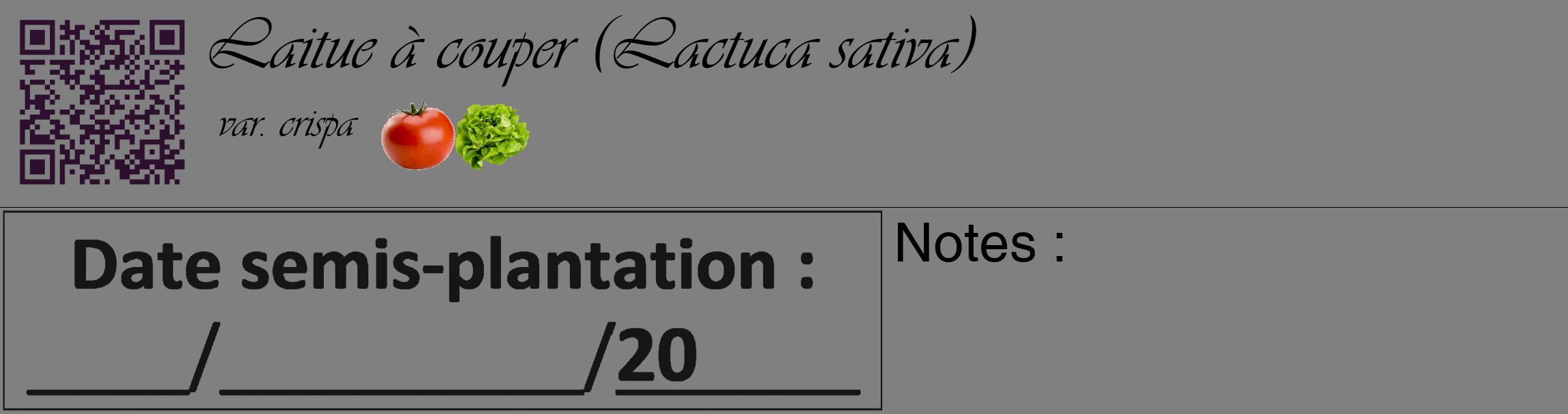 Étiquette de : Lactuca sativa var. crispa - format c - style noire57_basique_basiqueviv avec qrcode et comestibilité simplifiée