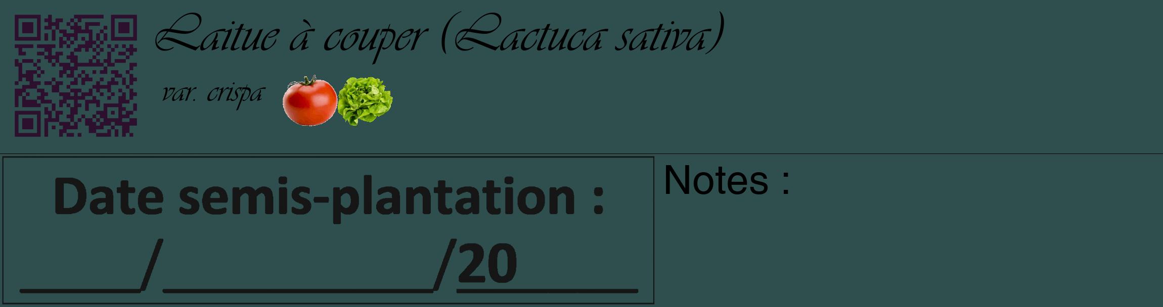 Étiquette de : Lactuca sativa var. crispa - format c - style noire58_basique_basiqueviv avec qrcode et comestibilité simplifiée