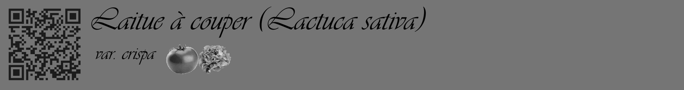 Étiquette de : Lactuca sativa var. crispa - format c - style noire5_basique_basiqueviv avec qrcode et comestibilité simplifiée