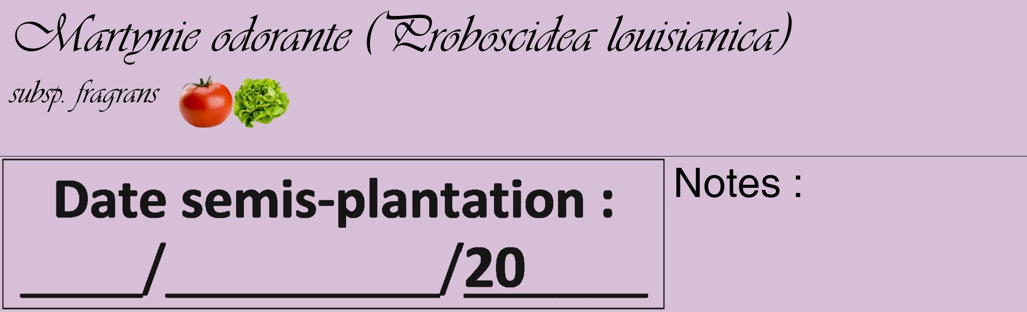 Étiquette de : Proboscidea louisianica subsp. fragrans - format c - style noire54_basique_basiqueviv avec comestibilité simplifiée