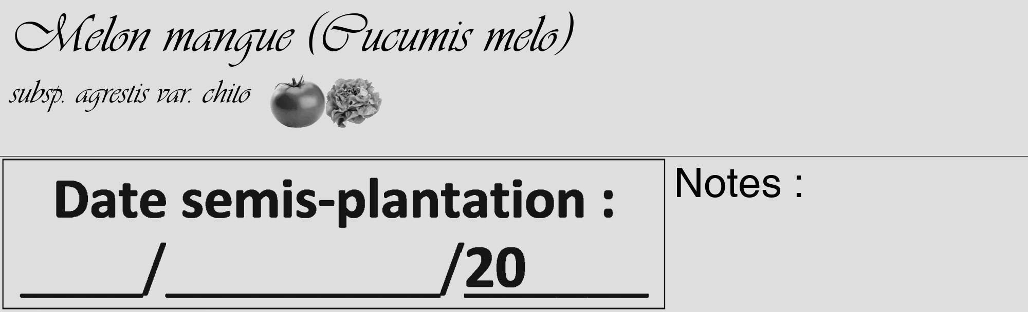 Étiquette de : Cucumis melo subsp. agrestis var. chito - format c - style noire20_basique_basiqueviv avec comestibilité simplifiée