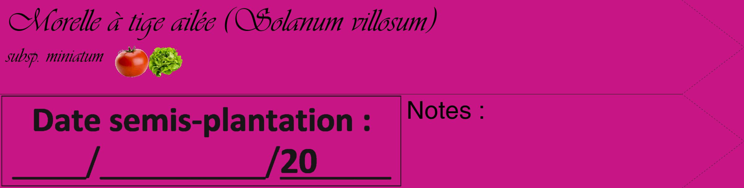 Étiquette de : Solanum villosum subsp. miniatum - format c - style noire45_simple_simpleviv avec comestibilité simplifiée