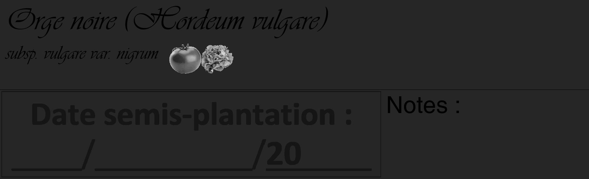 Étiquette de : Hordeum vulgare subsp. vulgare var. nigrum - format c - style noire29_basique_basiqueviv avec comestibilité simplifiée