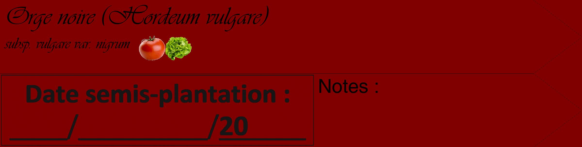 Étiquette de : Hordeum vulgare subsp. vulgare var. nigrum - format c - style noire29_simple_simpleviv avec comestibilité simplifiée