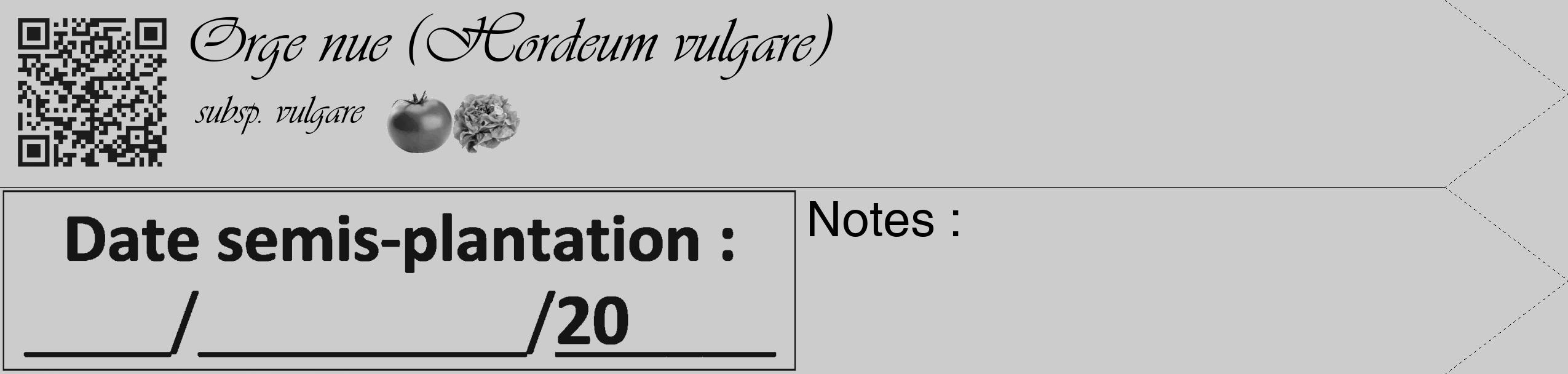 Étiquette de : Hordeum vulgare subsp. vulgare - format c - style noire0_simple_simpleviv avec qrcode et comestibilité simplifiée