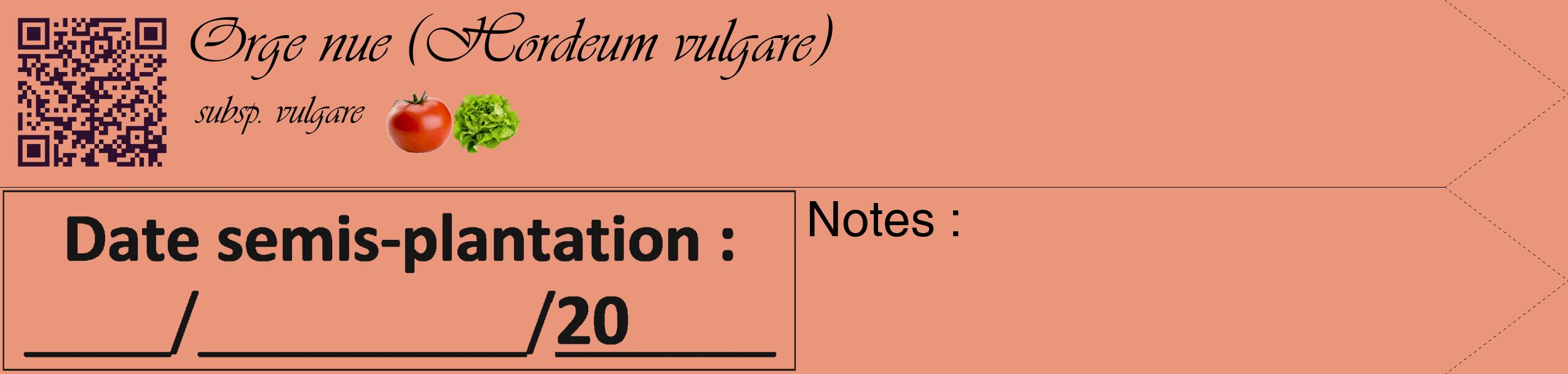 Étiquette de : Hordeum vulgare subsp. vulgare - format c - style noire37_simple_simpleviv avec qrcode et comestibilité simplifiée