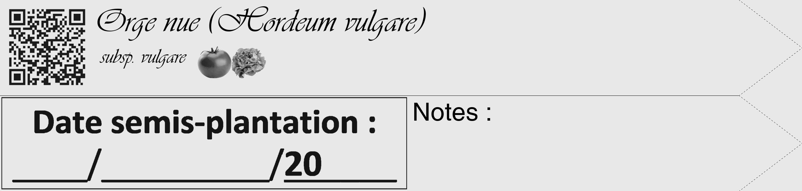 Étiquette de : Hordeum vulgare subsp. vulgare - format c - style noire55_simple_simpleviv avec qrcode et comestibilité simplifiée