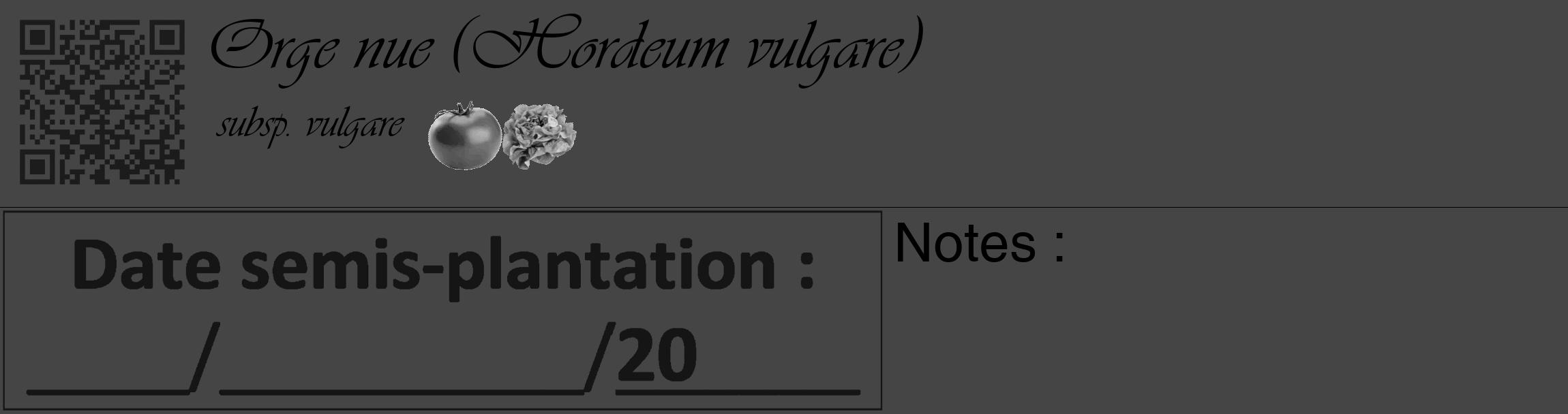 Étiquette de : Hordeum vulgare subsp. vulgare - format c - style noire58_basique_basiqueviv avec qrcode et comestibilité simplifiée