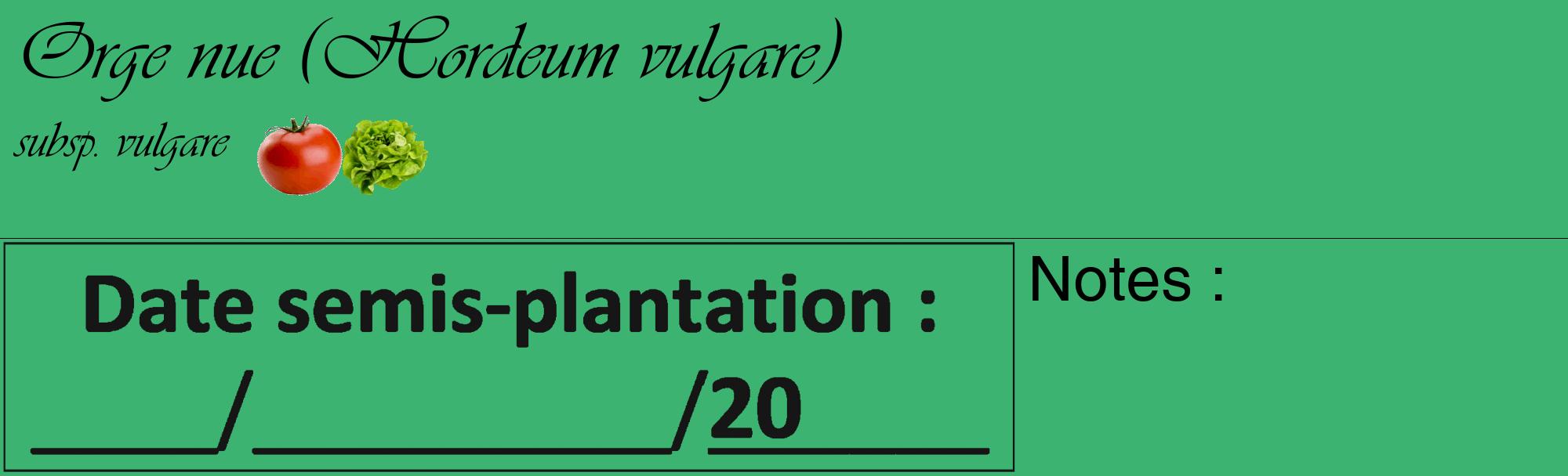 Étiquette de : Hordeum vulgare subsp. vulgare - format c - style noire12_basique_basiqueviv avec comestibilité simplifiée