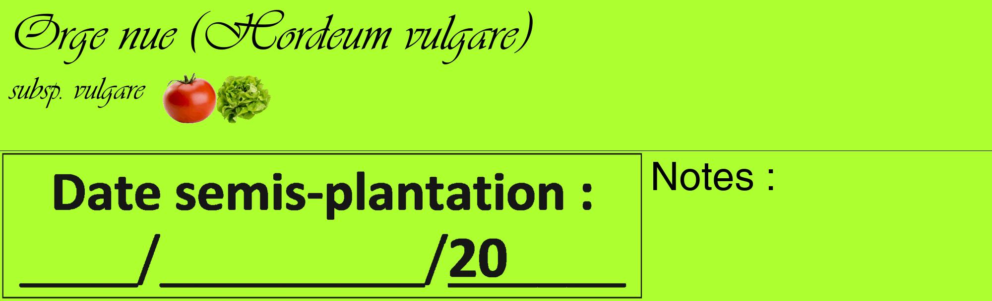 Étiquette de : Hordeum vulgare subsp. vulgare - format c - style noire17_basique_basiqueviv avec comestibilité simplifiée