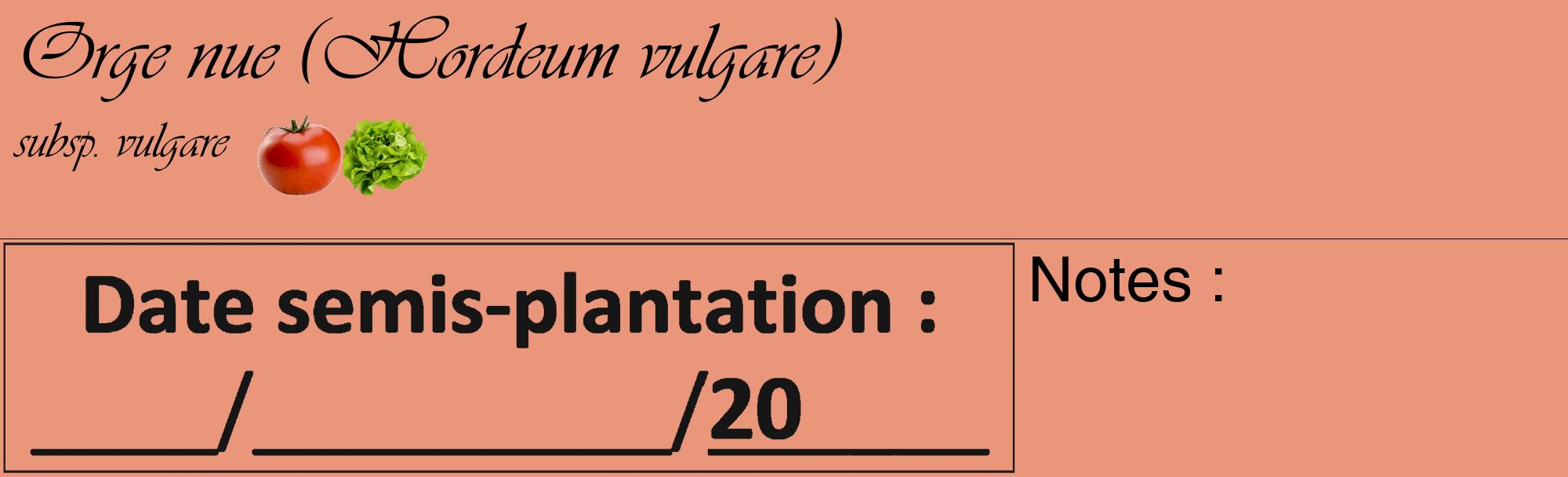 Étiquette de : Hordeum vulgare subsp. vulgare - format c - style noire37_basique_basiqueviv avec comestibilité simplifiée