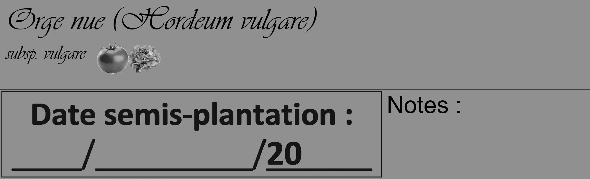 Étiquette de : Hordeum vulgare subsp. vulgare - format c - style noire4_basique_basiqueviv avec comestibilité simplifiée
