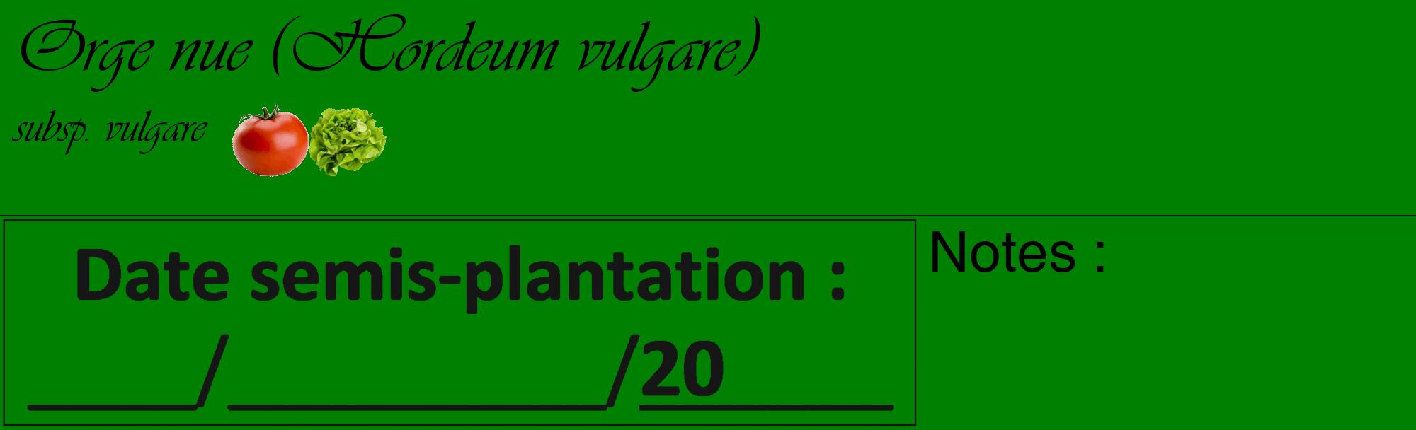 Étiquette de : Hordeum vulgare subsp. vulgare - format c - style noire9_basique_basiqueviv avec comestibilité simplifiée