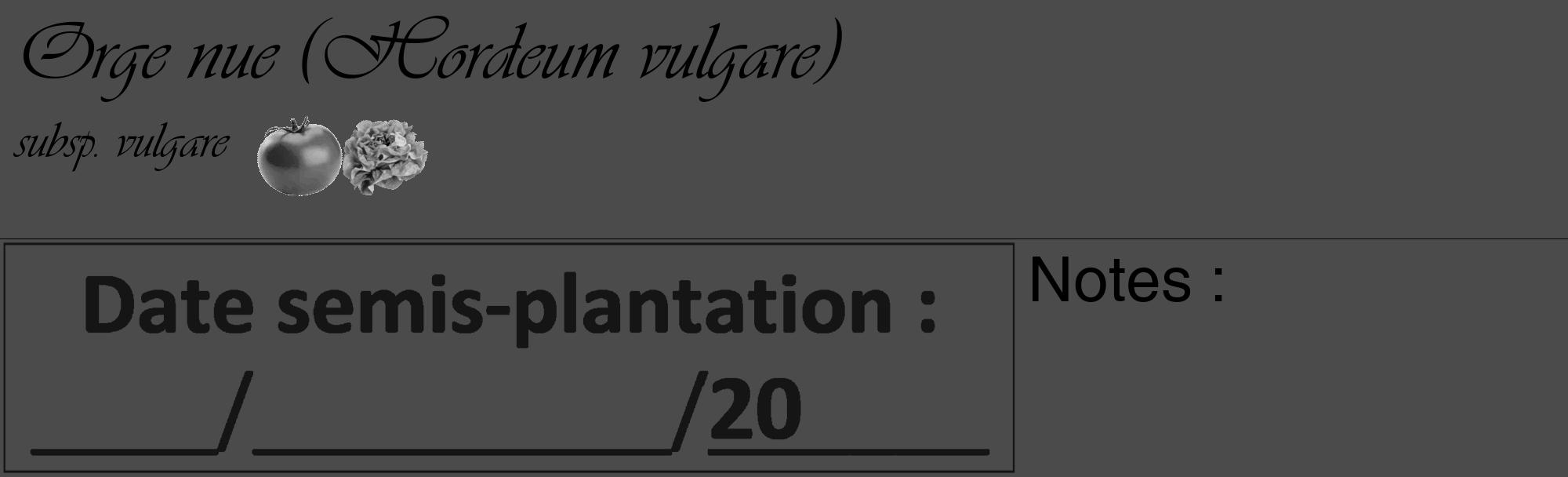 Étiquette de : Hordeum vulgare subsp. vulgare - format c - style noire9basique_basique_basiqueviv avec comestibilité simplifiée