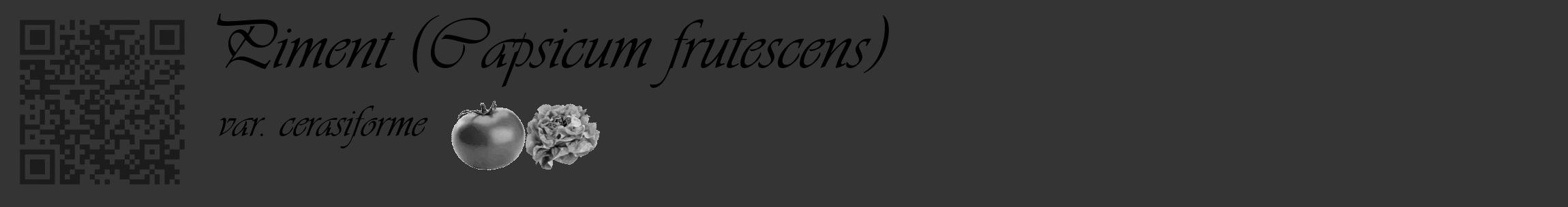 Étiquette de : Capsicum frutescens var. cerasiforme - format c - style noire46_basique_basiqueviv avec qrcode et comestibilité simplifiée