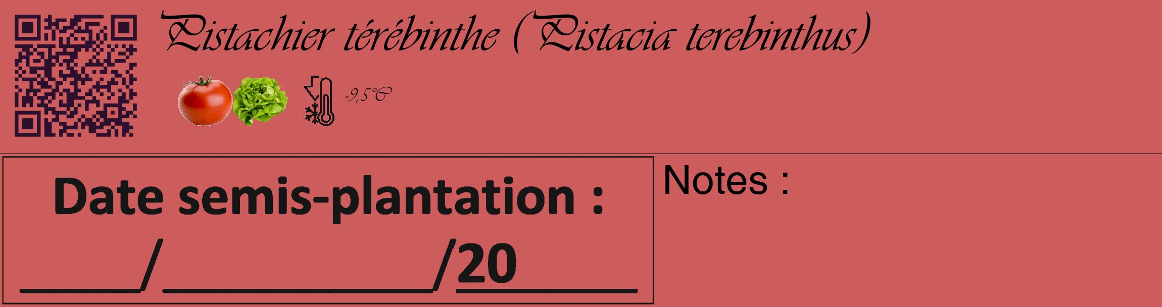 Étiquette de : Pistacia terebinthus - format c - style noire35_basique_basiqueviv avec qrcode et comestibilité simplifiée