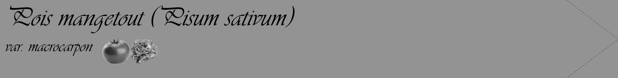 Étiquette de : Pisum sativum var. macrocarpon - format c - style noire44_simple_simpleviv avec comestibilité simplifiée