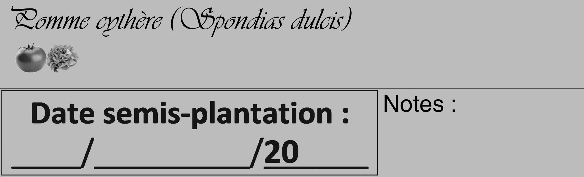 Étiquette de : Spondias dulcis - format c - style noire1_basique_basiqueviv avec comestibilité simplifiée