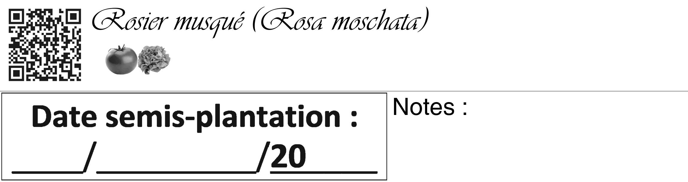 Étiquette de : Rosa moschata - format c - style noire60_basique_basiqueviv avec qrcode et comestibilité simplifiée