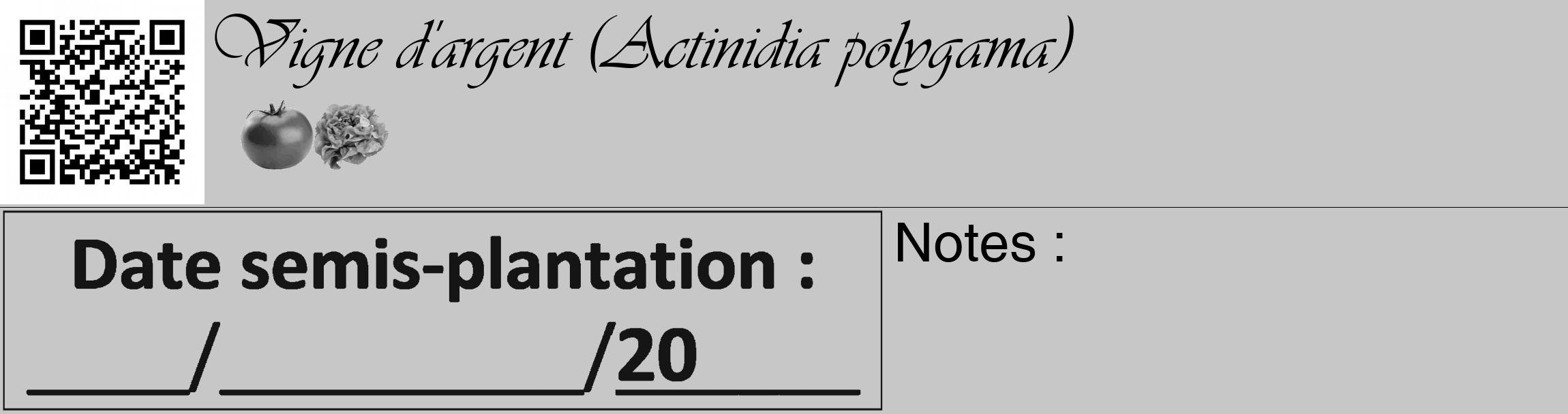 Étiquette de : Actinidia polygama - format c - style noire15_basique_basiqueviv avec qrcode et comestibilité simplifiée