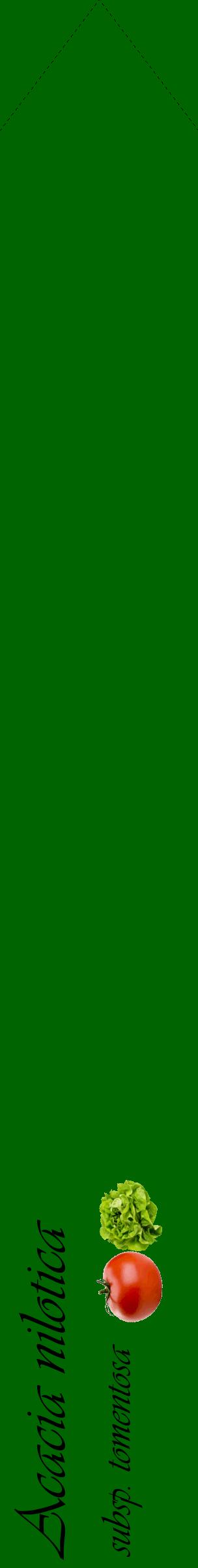 Étiquette de : Acacia nilotica subsp. tomentosa - format c - style noire8_simpleviv avec comestibilité simplifiée