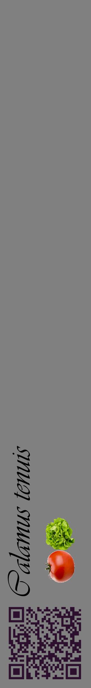 Étiquette de : Calamus tenuis - format c - style noire57_basiqueviv avec qrcode et comestibilité simplifiée