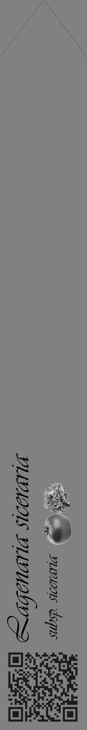 Étiquette de : Lagenaria siceraria subsp. siceraria - format c - style noire50simple_basique_basiqueviv avec qrcode et comestibilité simplifiée - position verticale