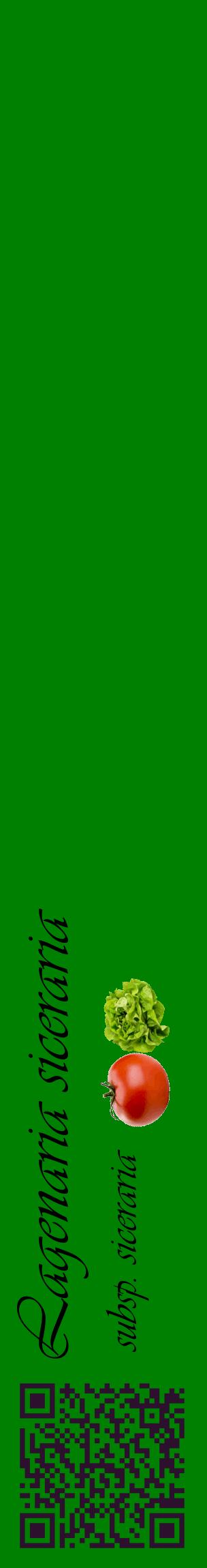 Étiquette de : Lagenaria siceraria subsp. siceraria - format c - style noire9_basiqueviv avec qrcode et comestibilité simplifiée