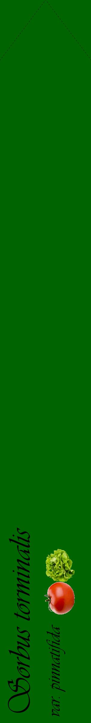 Étiquette de : Sorbus torminalis var. pinnatifida - format c - style noire8_simpleviv avec comestibilité simplifiée