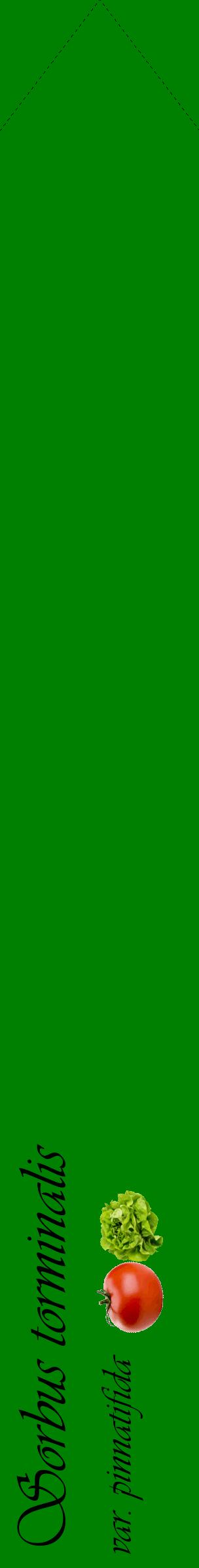 Étiquette de : Sorbus torminalis var. pinnatifida - format c - style noire9_simpleviv avec comestibilité simplifiée