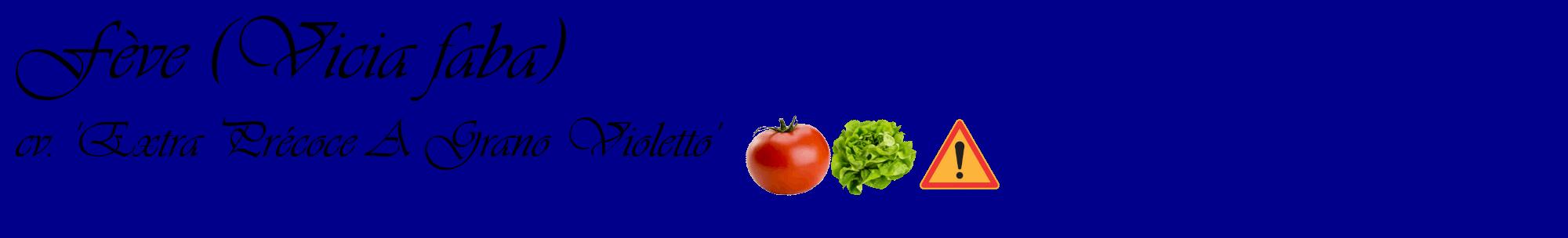 Étiquette de : Vicia faba cv. 'Extra Précoce A Grano Violetto' - format c - style noire7basique_basique_basiqueviv avec comestibilité simplifiée