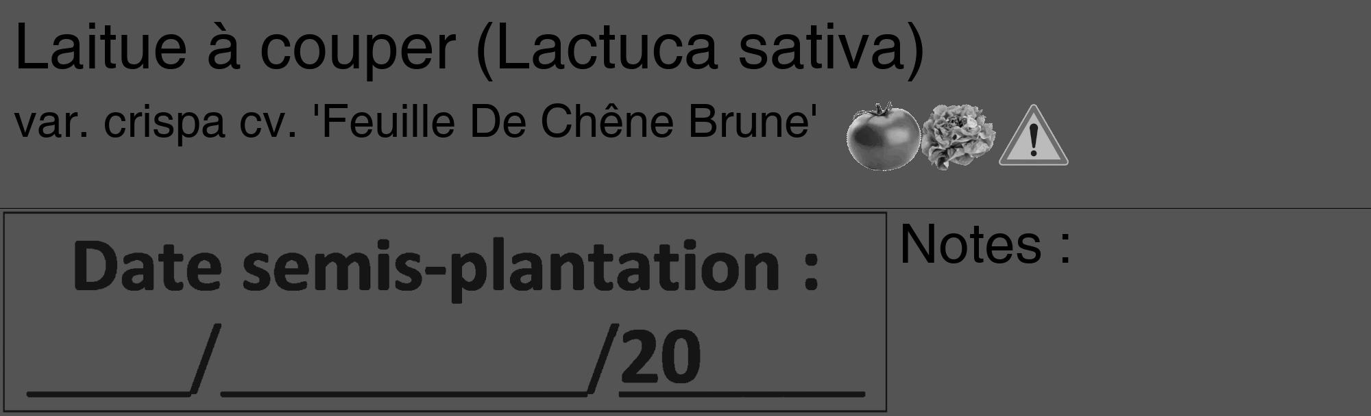 Étiquette de : Lactuca sativa var. crispa cv. 'Feuille De Chêne Brune' - format c - style noire30_basique_basiquehel avec comestibilité simplifiée