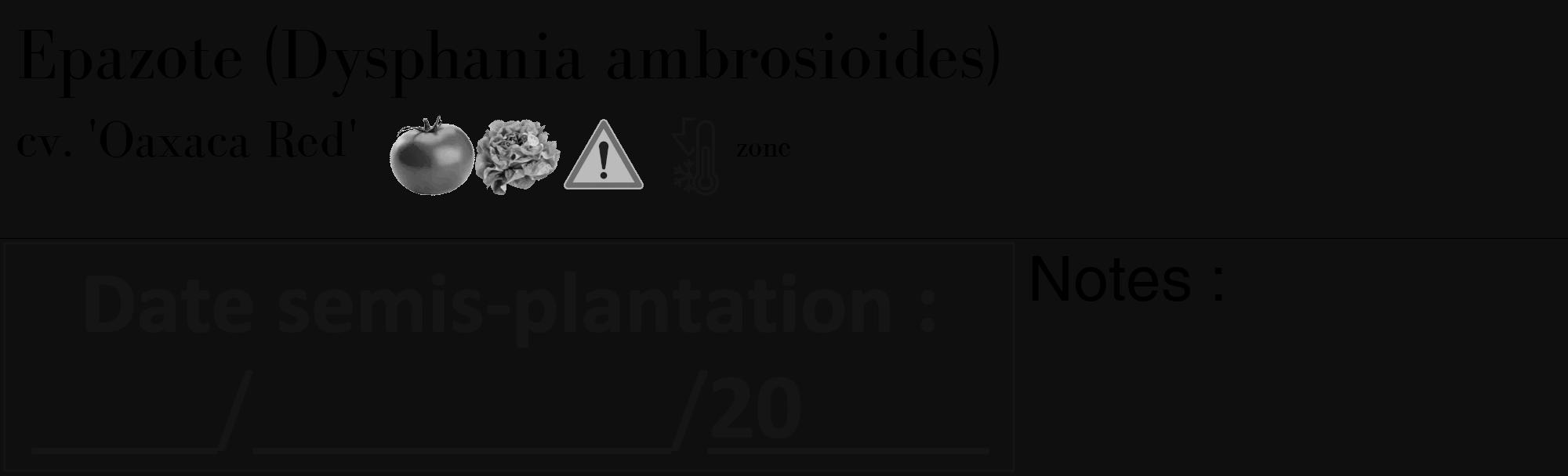 Étiquette de : Dysphania ambrosioides cv. 'Oaxaca Red' - format c - style noire7_basique_basiquebod avec comestibilité simplifiée