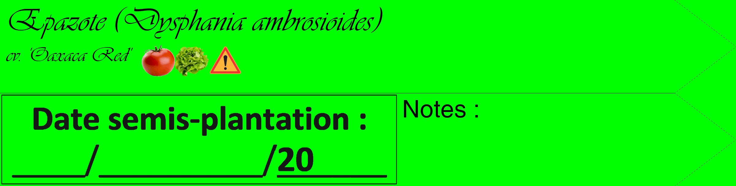 Étiquette de : Dysphania ambrosioides cv. 'Oaxaca Red' - format c - style noire16simple_basique_basiqueviv avec comestibilité simplifiée
