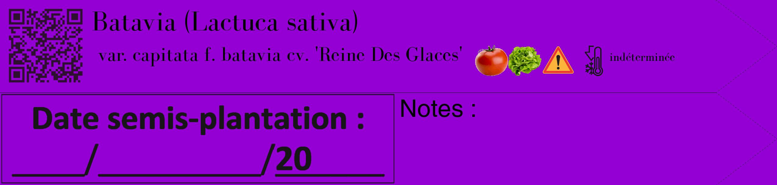 Étiquette de : Lactuca sativa var. capitata f. batavia cv. 'Reine Des Glaces' - format c - style noire48_simple_simplebod avec qrcode et comestibilité simplifiée