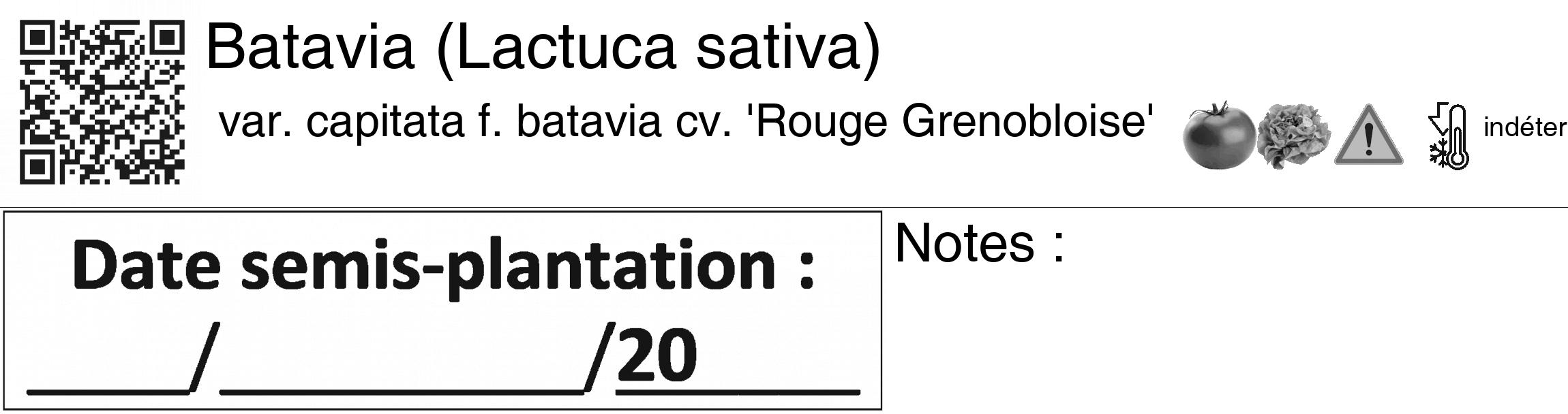 Étiquette de : Lactuca sativa var. capitata f. batavia cv. 'Rouge Grenobloise' - format c - style noire60_basiquegrrvhel avec qrcode et comestibilité simplifiée