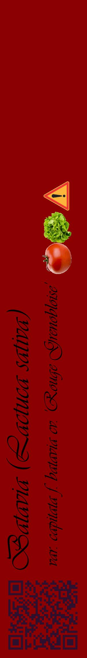 Étiquette de : Lactuca sativa var. capitata f. batavia cv. 'Rouge Grenobloise' - format c - style noire34_basiqueviv avec qrcode et comestibilité simplifiée