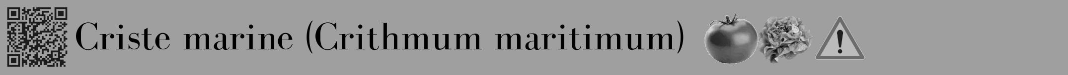 Étiquette de : Crithmum maritimum - format a - style noire24bod avec qrcode et comestibilité simplifiée