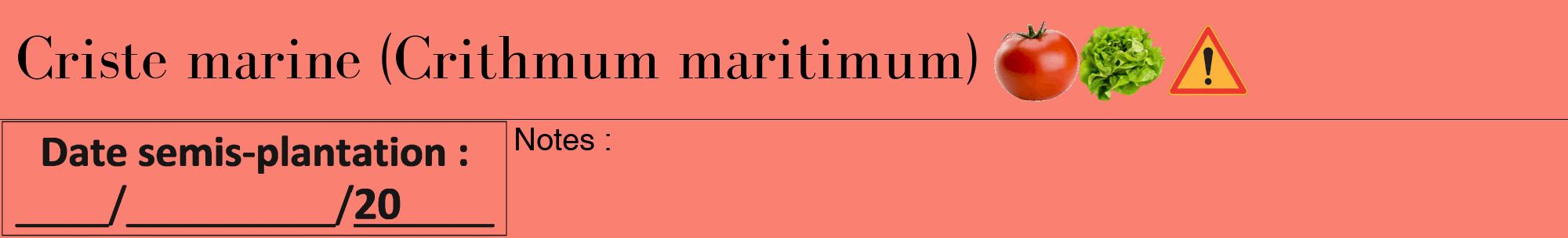 Étiquette de : Crithmum maritimum - format a - style noire38bod avec comestibilité simplifiée