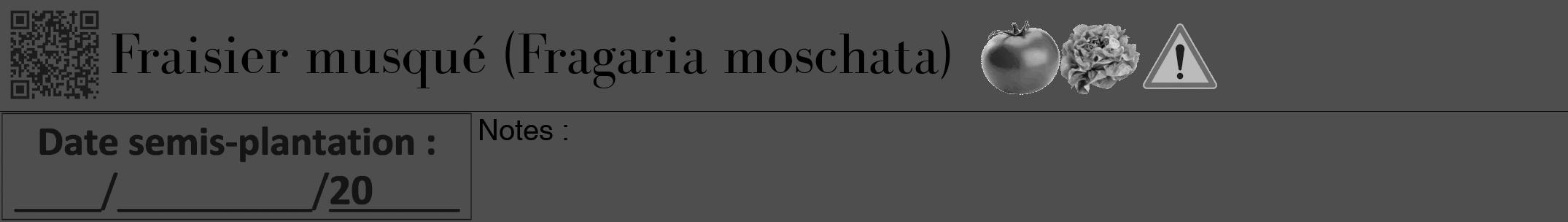 Étiquette de : Fragaria moschata - format a - style noire33bod avec qrcode et comestibilité simplifiée