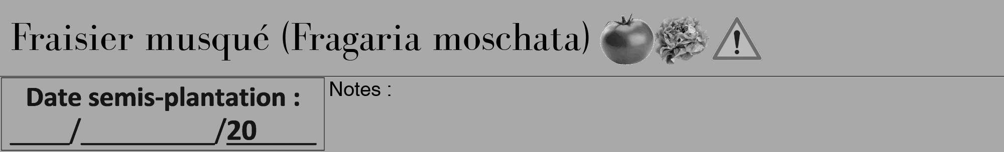 Étiquette de : Fragaria moschata - format a - style noire13bod avec comestibilité simplifiée