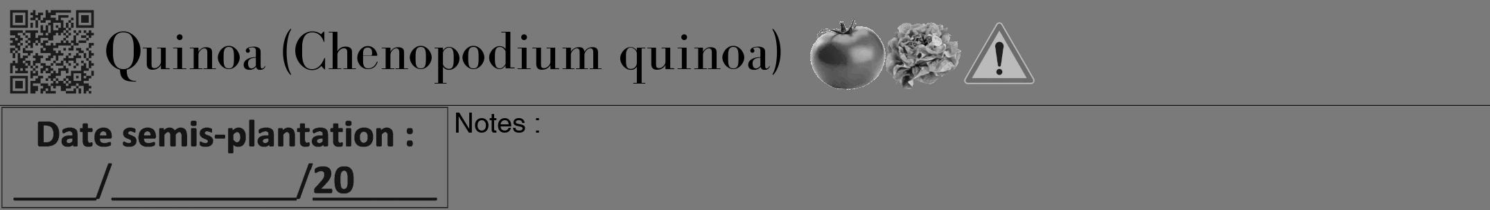 Étiquette de : Chenopodium quinoa - format a - style noire3bod avec qrcode et comestibilité simplifiée