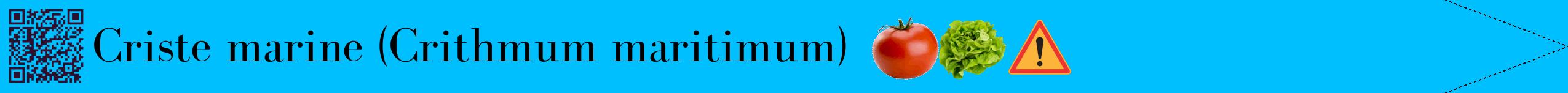 Étiquette de : Crithmum maritimum - format b - style noire2simplebod avec qrcode et comestibilité simplifiée