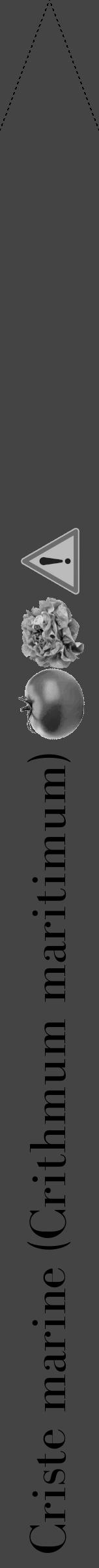 Étiquette de : Crithmum maritimum - format b - style noire48bod avec comestibilité simplifiée - position verticale