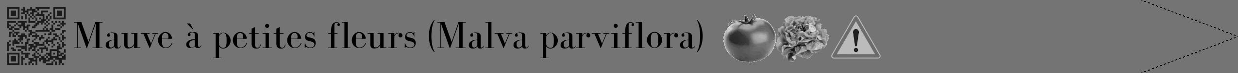 Étiquette de : Malva parviflora - format b - style noire26bod avec qrcode et comestibilité simplifiée