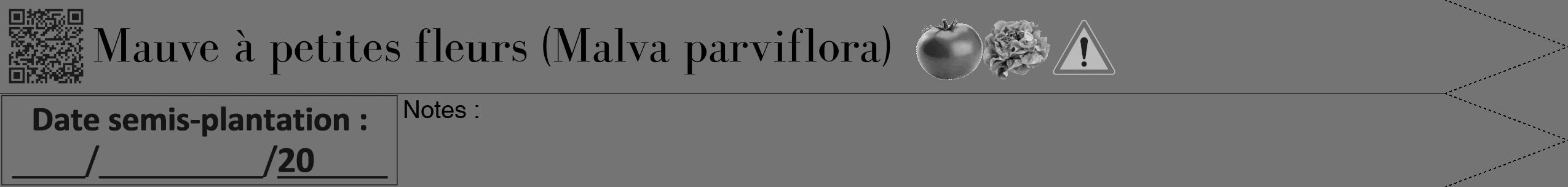 Étiquette de : Malva parviflora - format b - style noire26bod avec qrcode et comestibilité simplifiée